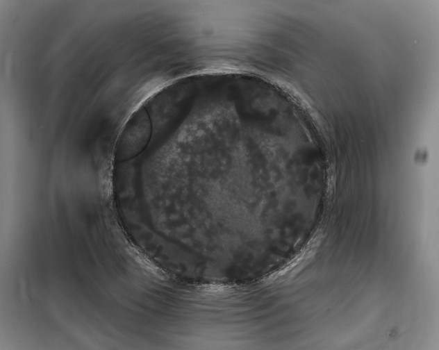 X0000100201409200805301300