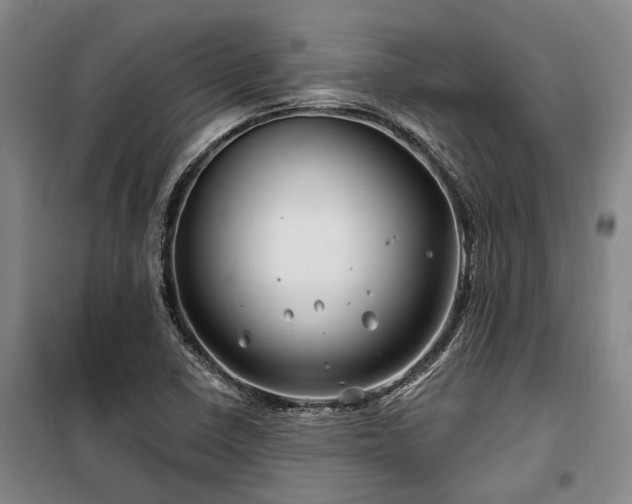 X0000100201410200805301300