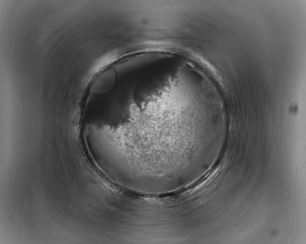 X0000100201411200805301300