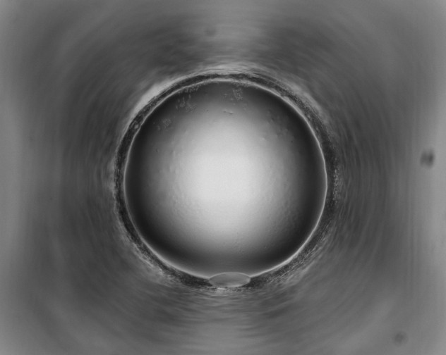 X0000100201412200805301300