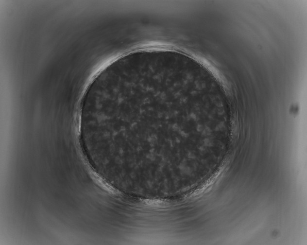 X0000100201413200805301300