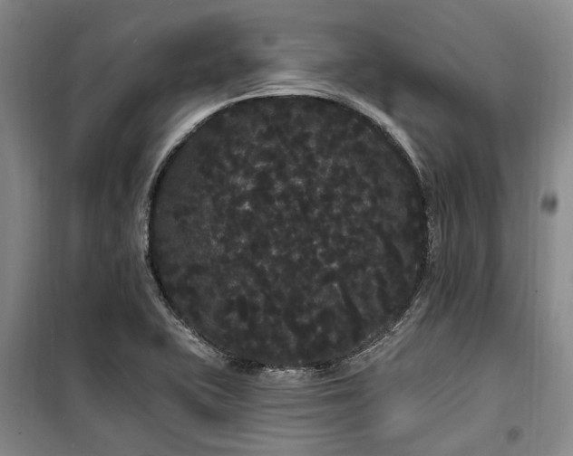 X0000100201415200805301300