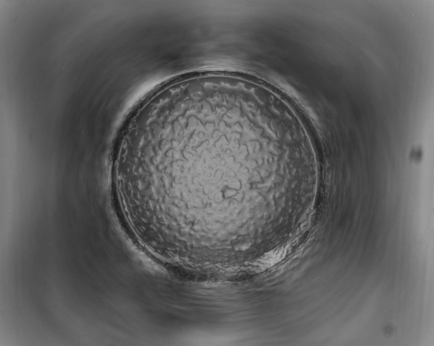 X0000100201416200805301300