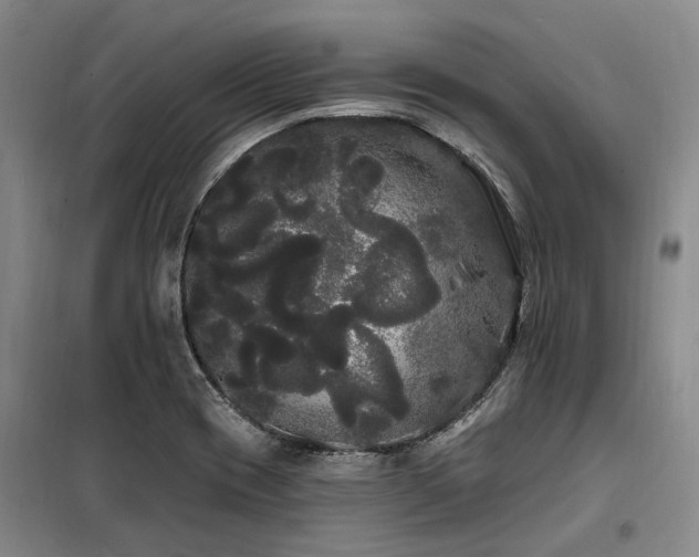 X0000100201417200805301300