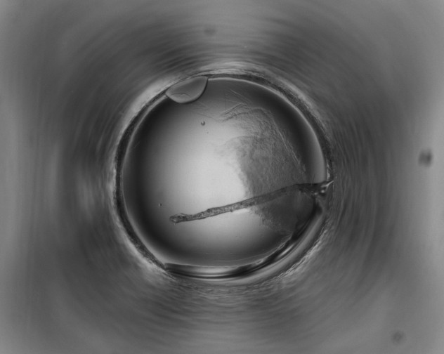 X0000100201418200805301300