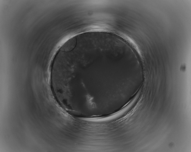 X0000100201419200805301300