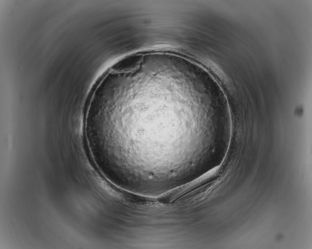 X0000100201420200805301300