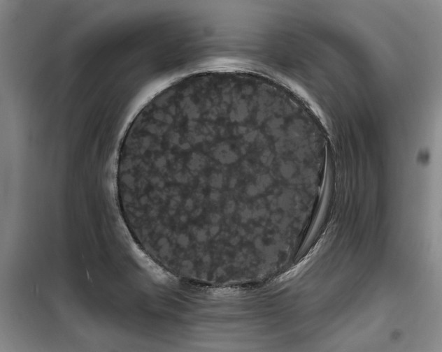X0000100201421200805301300