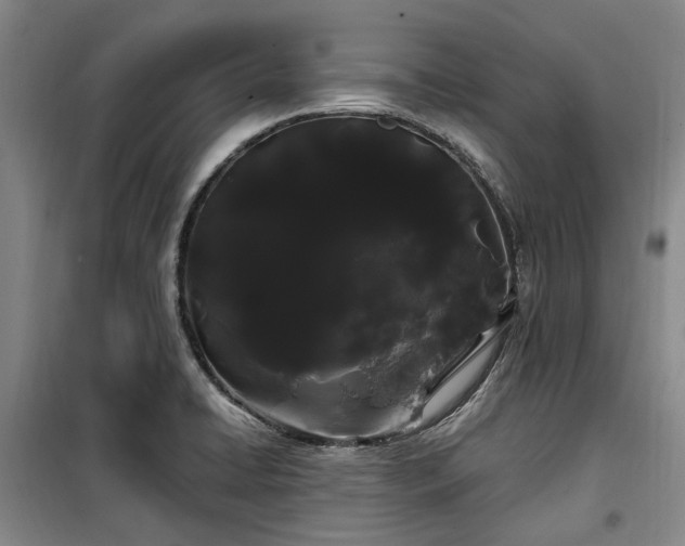 X0000100201422200805301300