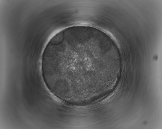 X0000100201424200805301300