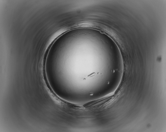 X0000100201426200805301300