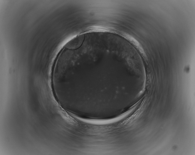 X0000100201427200805301300