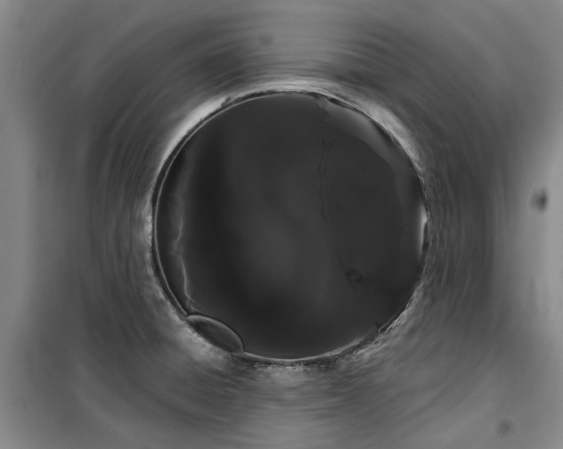 X0000100201428200805301300