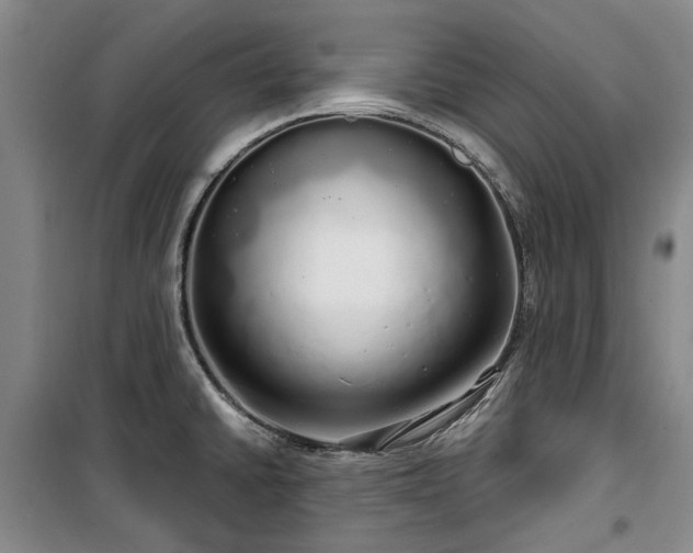 X0000100201430200805301300