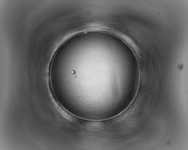 X0000100201431200805301300