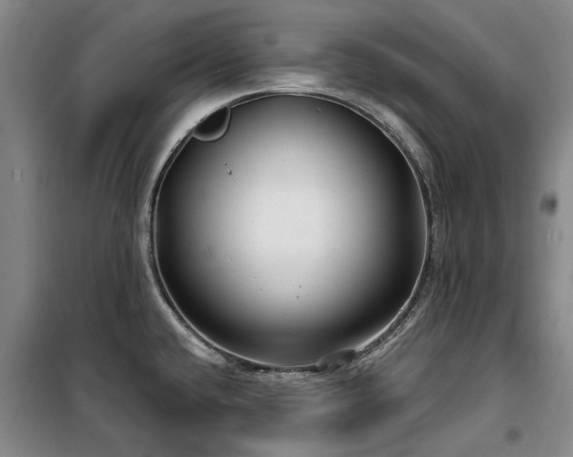 X0000100201432200805301300
