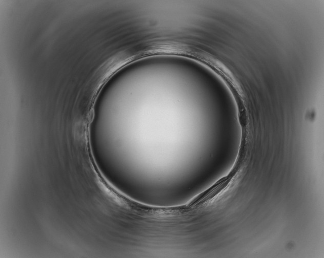 X0000100201433200805301300
