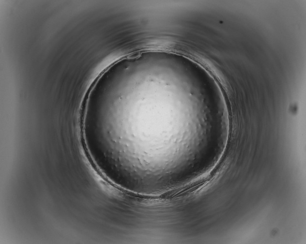 X0000100201434200805301300