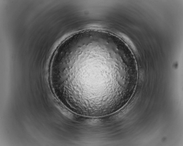 X0000100201435200805301300