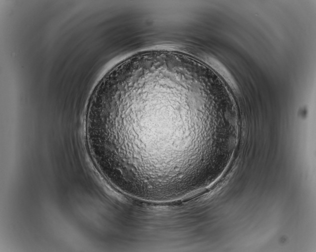 X0000100201436200805301300