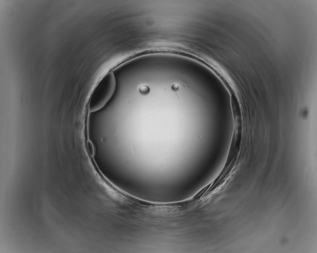 X0000100201437200805301300