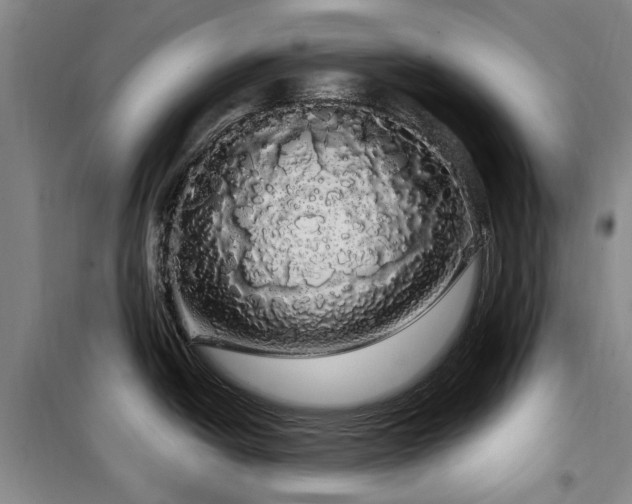X0000100201438200805301300