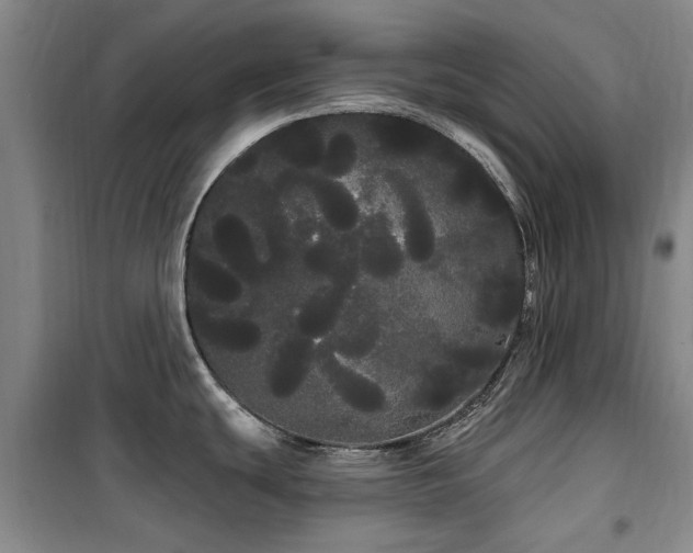 X0000100201439200805301300