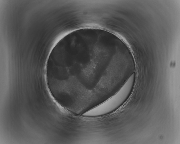 X0000100201440200805301300