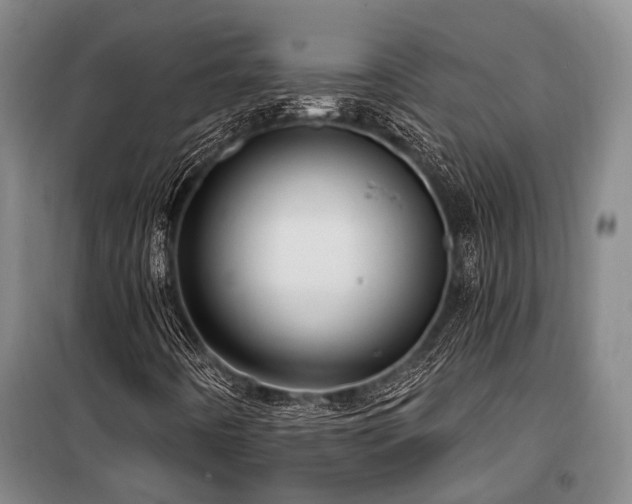 X0000100201442200805301259