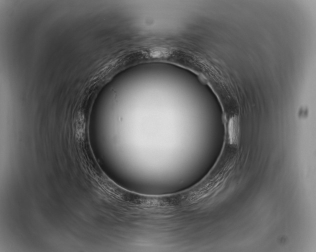 X0000100201443200805301259