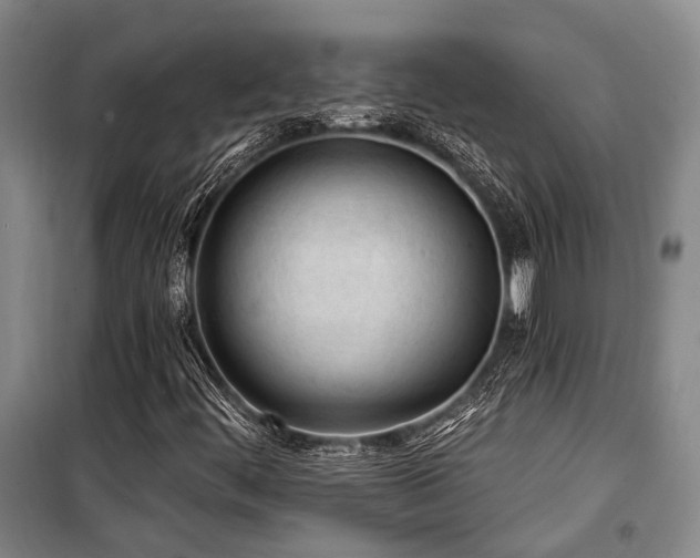 X0000100201444200805301259