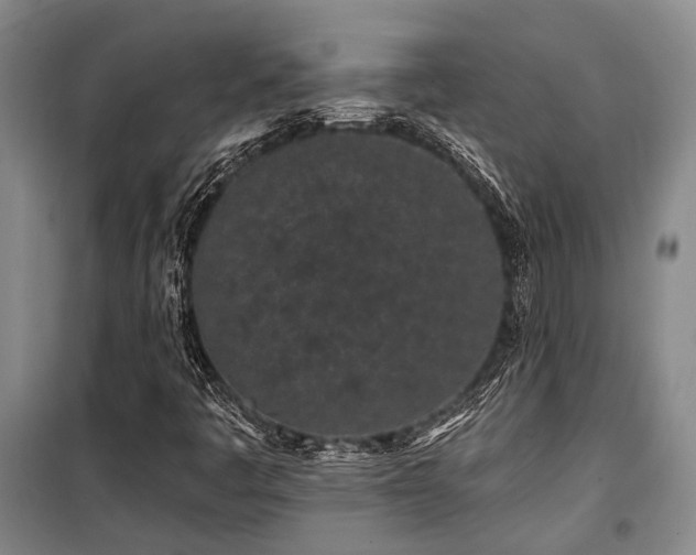 X0000100201445200805301259