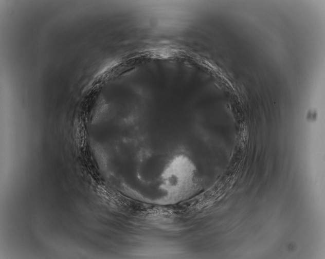 X0000100201446200805301259