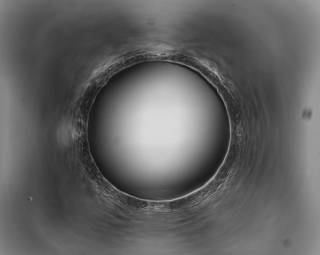 X0000100201447200805301259