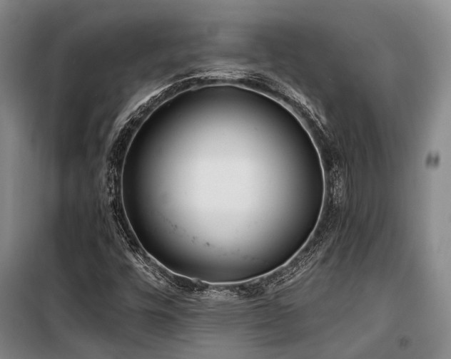 X0000100201448200805301259