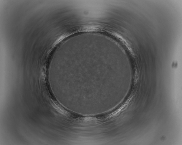 X0000100201449200805301259