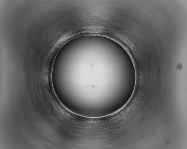 X0000100201451200805301259