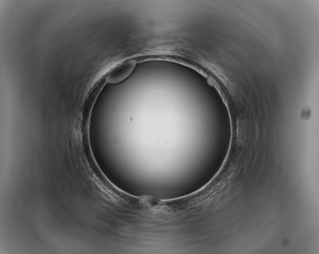 X0000100201452200805301259