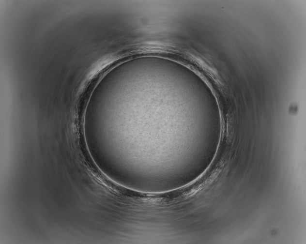 X0000100201453200805301259
