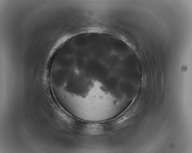 X0000100201454200805301259