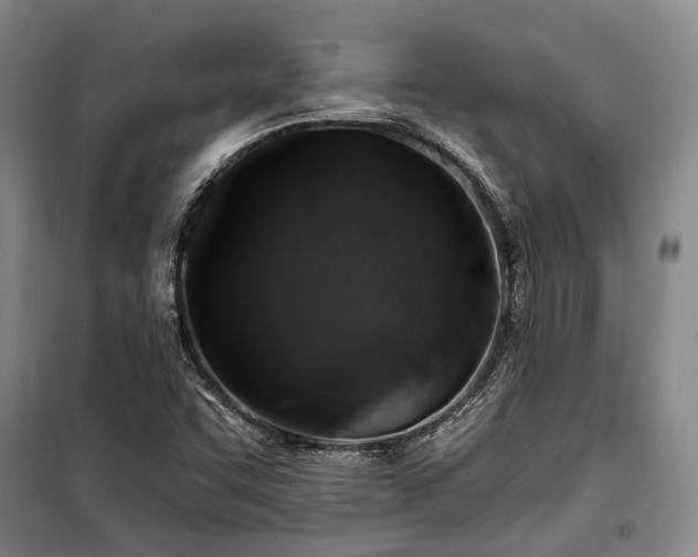 X0000100201455200805301259