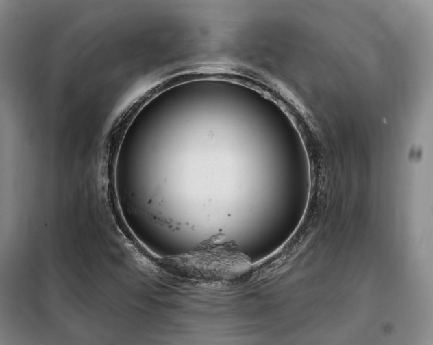 X0000100201456200805301259