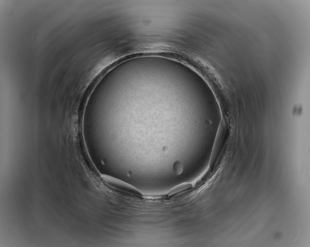 X0000100201457200805301259