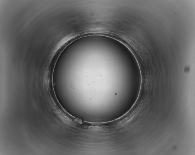 X0000100201458200805301259