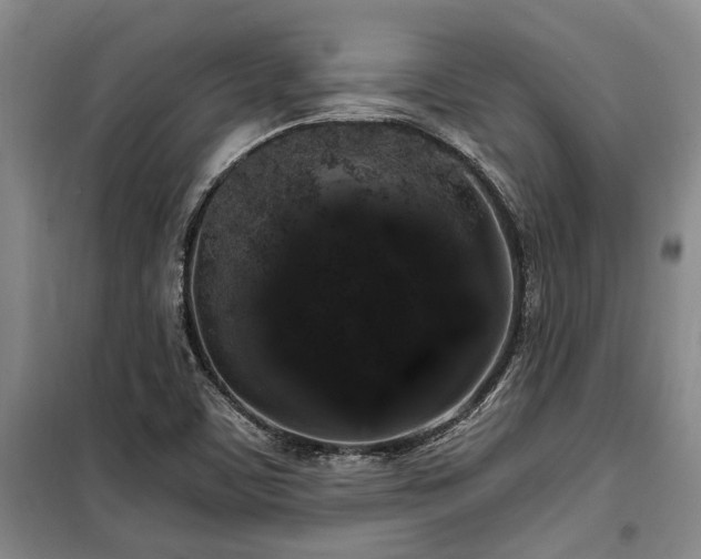X0000100201459200805301259
