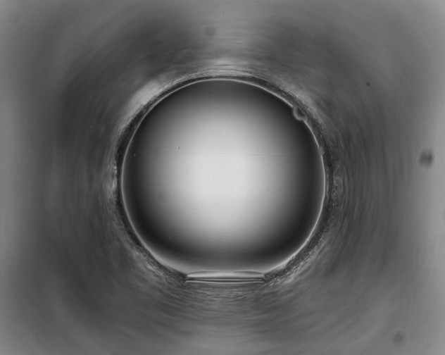 X0000100201461200805301259