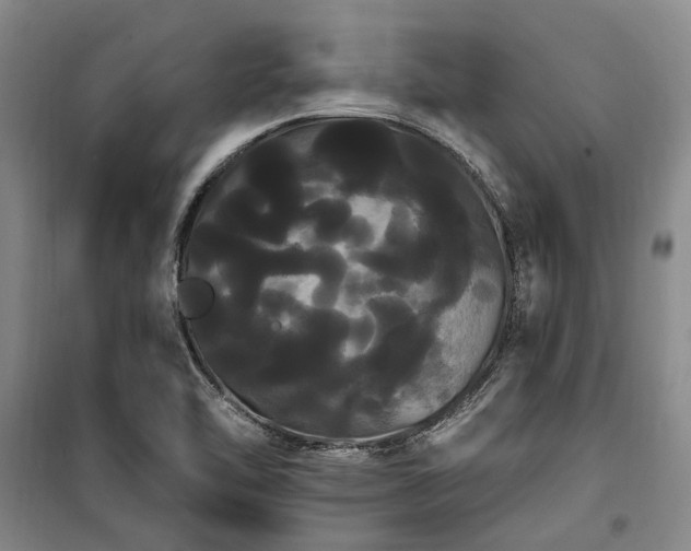 X0000100201462200805301259