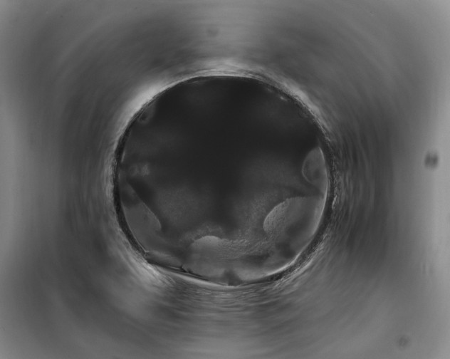 X0000100201463200805301259