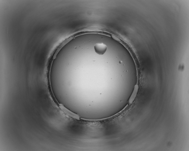 X0000100201464200805301259