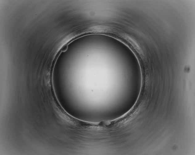 X0000100201465200805301259
